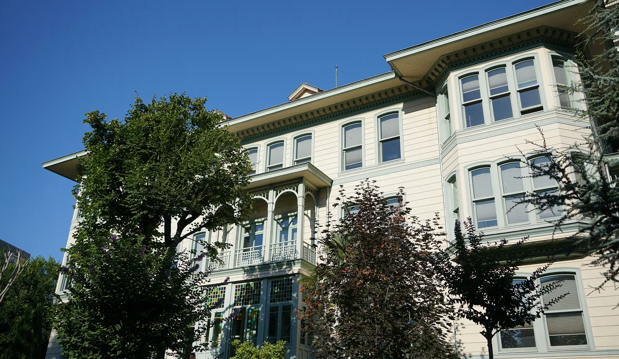 Terms and Conditions